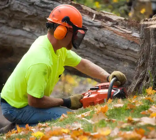 tree services Balfour